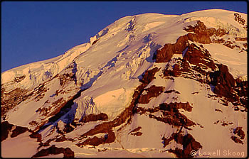 Mt Rainier, Ptarmigan Ridge