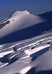 South Tahoma GlacierPhoto by Lowell Skoog.