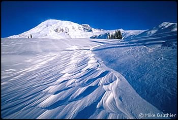 Mt. Rainier, winter by Mike Gauthier