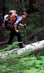 Tree walking. Photo © Erik Wolf.