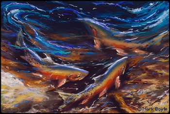 “Alpine Trout” by Mark Boyle