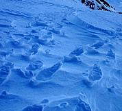 Tracks of missing climbers descending North Ridge of Mount Hood. Photo © Nick Pope 