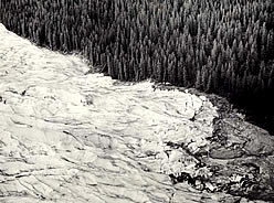 Advancing Taku Glacier margin.