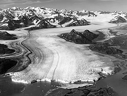 Glacier Bay, Alaska.