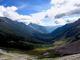 Perry Creek Valley, distant view. Photo © Mike Layton