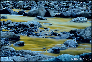 Evening light on the South Fork of the Hoh. Photo © Steph Abegg.