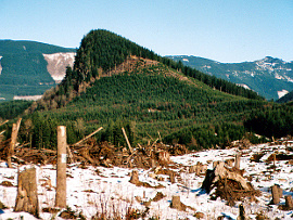 “Pelletgun Hill” (1,840ft+) north of North Bend. Photo © Paul Klenke.