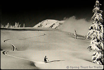 Powder skiing at Paradise in the 1940s. Photo courtesy of the Spring Trust for Trails (http://www.springtrailtrust.org/).